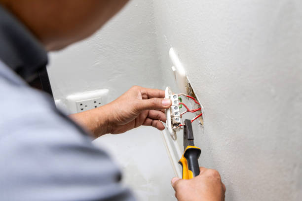 Best Local Electrician Companies  in Louisburg, NC